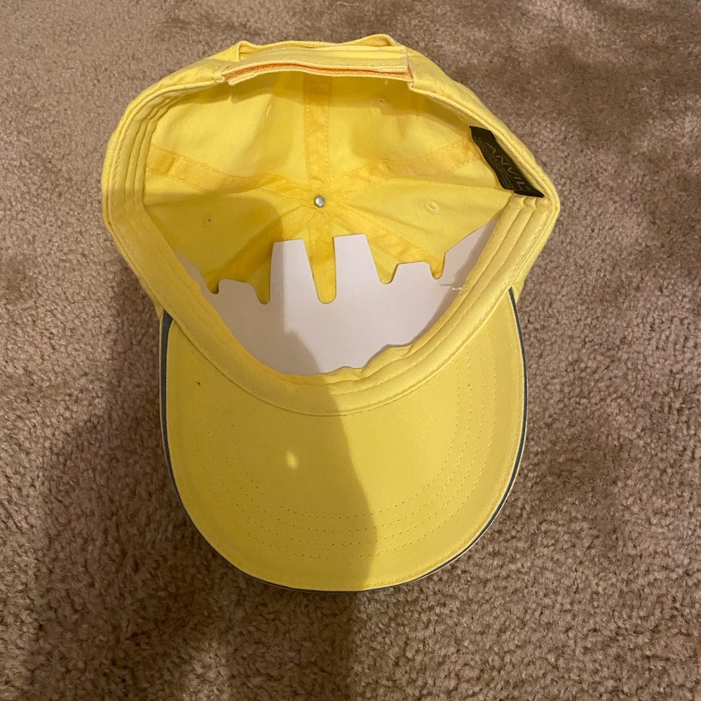 NWT Ball Cap - Picture 2 of 4